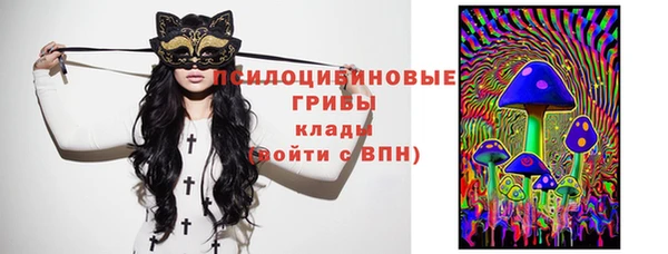 ПСИЛОЦИБИНОВЫЕ ГРИБЫ Богородицк