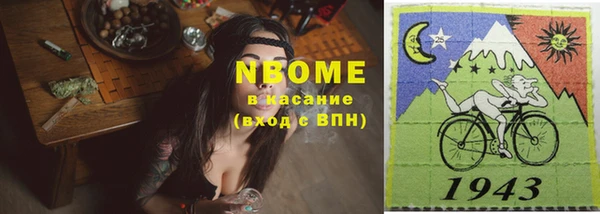 шишки Белоозёрский
