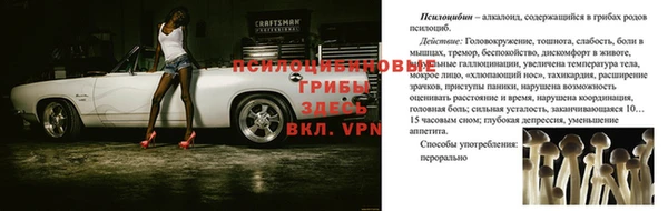 a pvp Беломорск