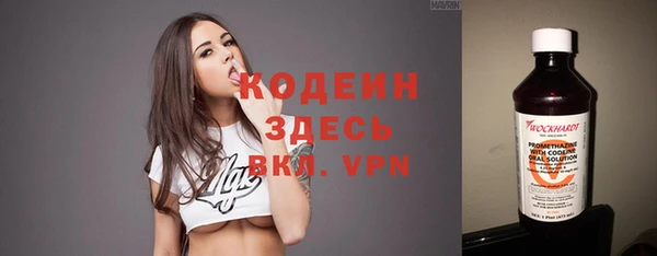 шишки Белоозёрский