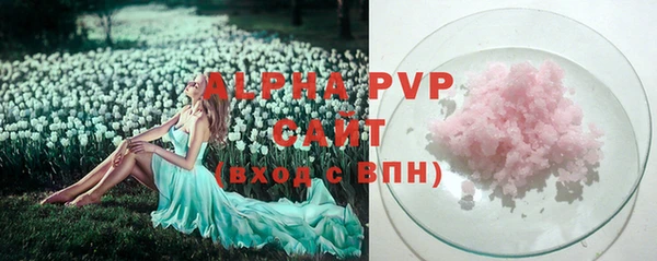шишки Белоозёрский