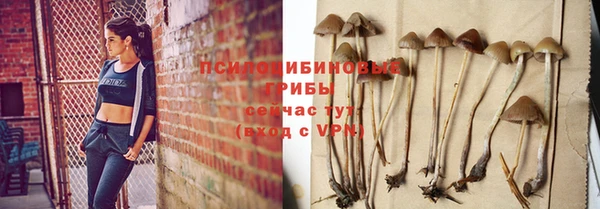 шишки Белоозёрский