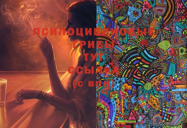 спайс Белокуриха