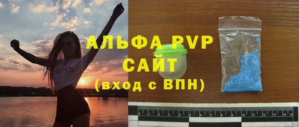 шишки Белоозёрский