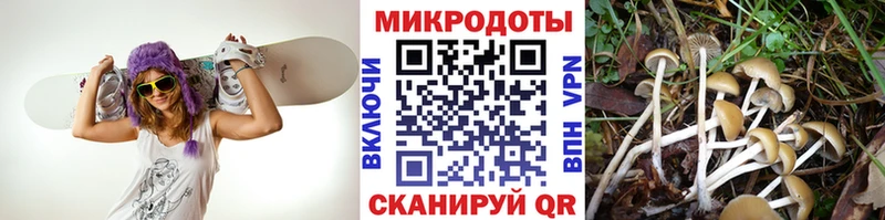 это Telegram  Горячий Ключ  Псилоцибиновые грибы ЛСД 